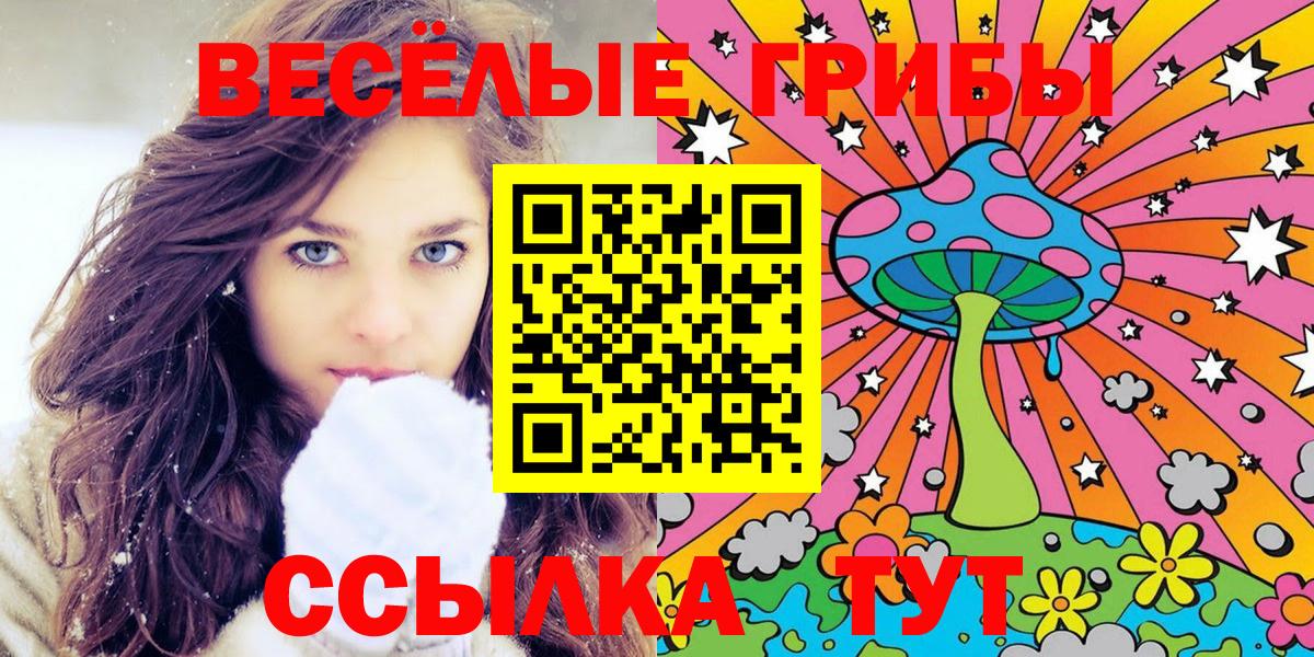Сокол  Галлюциногенные грибы Psilocybe  Псилоцибиновые грибы прущие грибы  Вход с VPN 
