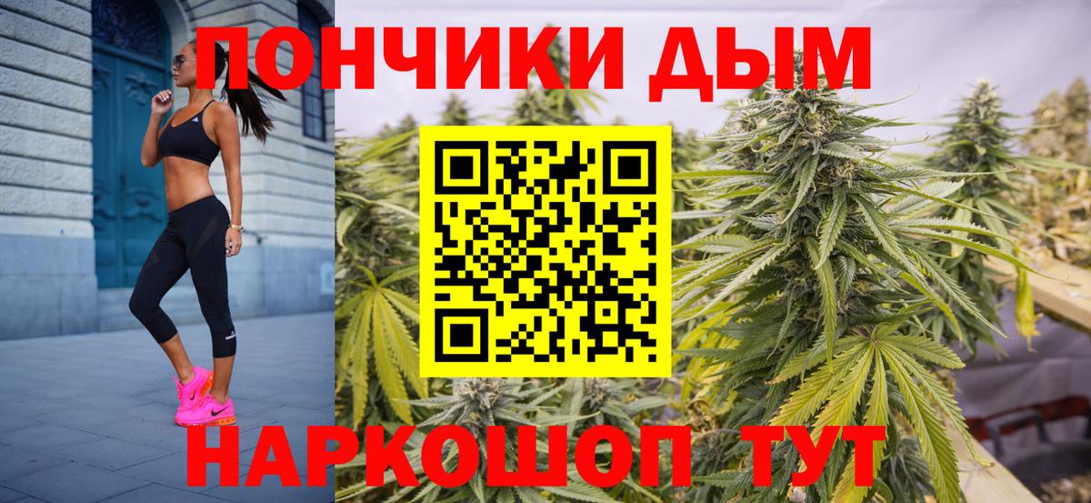 Бошки Шишки гибрид  Вход с VPN  Сокол  Бошки Шишки сатива  Конопля VHQ 